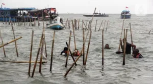 Menteri ATR Nusron ikut Cabut SHGB Pagar Laut Tangerang