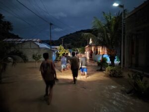 Puluhan Rumah Warga di Kecamatan Palasa Terendam Banjir