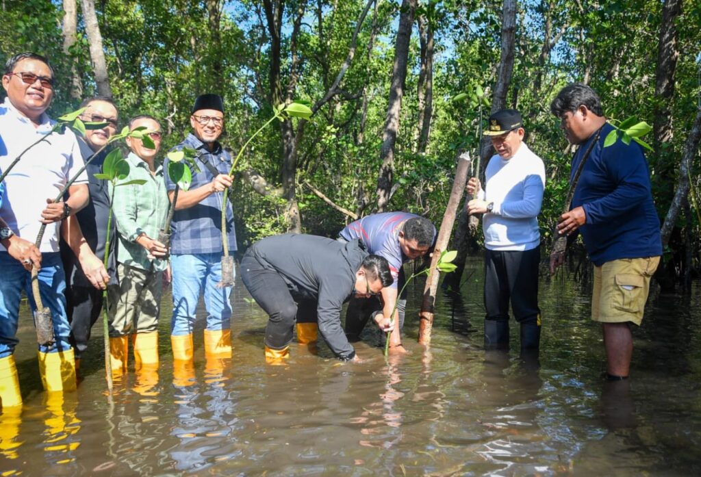 Wakil Ketua MPR RI Arbcandra Supratman Tanam Ratusan Bibit Mangrove di Bunaken