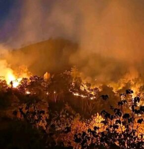 Karhutla di Avolua Meluas, Warga Minta Bantuan Water Bombing
