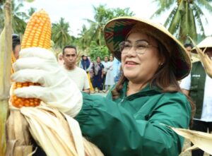 Penen Jagung 24 Ton: Pemkab Donggala Tancap Gas Dukung Asta Cita Presiden