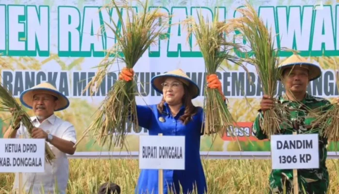 Sojol Diproyeksikan Jadi Lumbung Pangan, Pemkab Donggala Genjot Produksi Pertanian