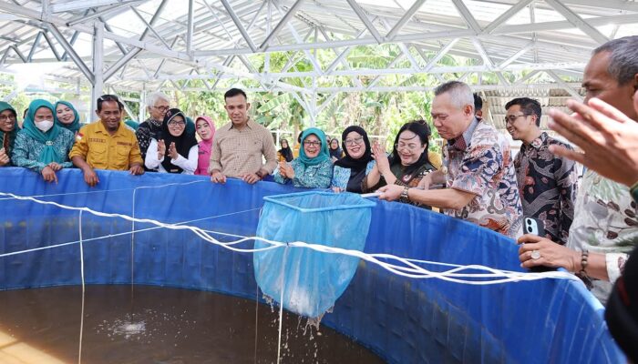 Panen Perdana Bioflok TP-PKK Sigi, Dorong Ekonomi dan Cegah Stunting