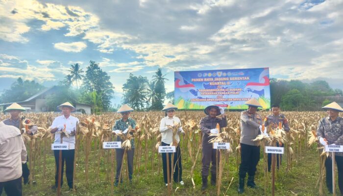 Panen Raya Jagung Serentak di Sigi, DPRD Sulteng Tegaskan Dukungan terhadap Ketahanan Pangan Nasional