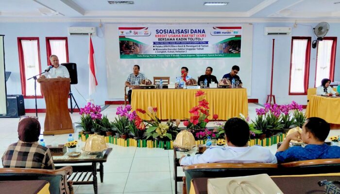 Kadin dan Pemda Tolitoli Soroti Ketatnya Aturan Perbankan, Desak Penyaluran KUR Dipermudah