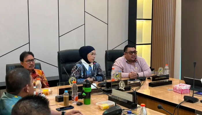 DPRD Sulteng Matangkan Strategi Optimalisasi PAD Lewat Penguatan Hilirisasi dan Tata Kelola SDA