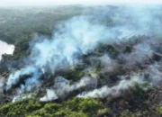 BNPB Perkuat Penanganan Karhutla, 1.842 Titik Panas Terdeteksi di Kalimantan