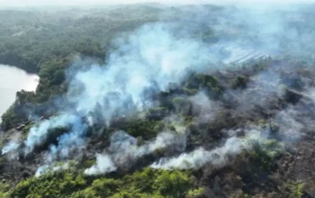 BNPB Perkuat Penanganan Karhutla, 1.842 Titik Panas Terdeteksi di Kalimantan