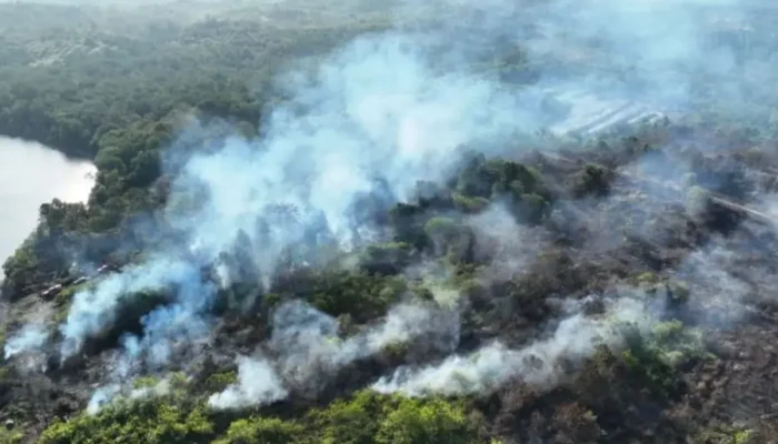 BNPB Perkuat Penanganan Karhutla, 1.842 Titik Panas Terdeteksi di Kalimantan