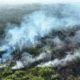 BNPB Perkuat Penanganan Karhutla, 1.842 Titik Panas Terdeteksi di Kalimantan