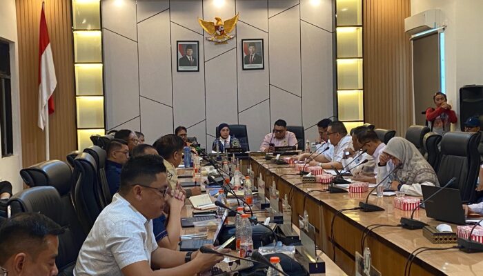 DPRD Sulteng Dorong Hilirisasi SDA dan Optimalisasi PAD
