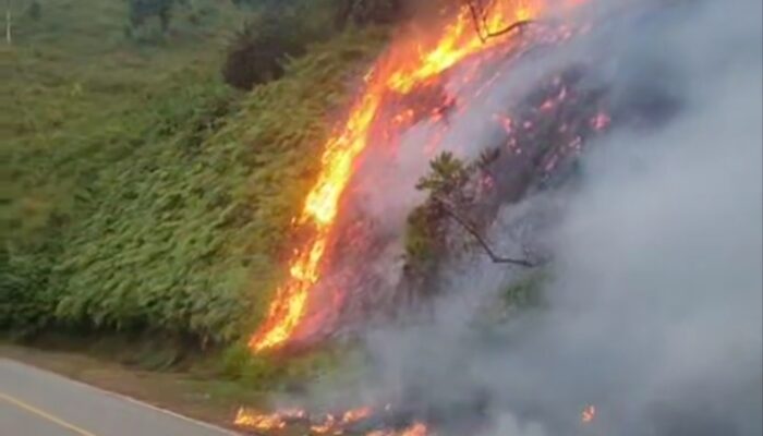 Kebakaran Gunung Kembali Terjadi di Jalur Trans Sulawesi Silondou–Galaudau, Tolitoli