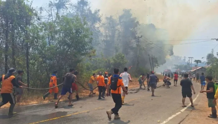 Karhutla di Poso Hanguskan 15 Hektare Lahan dan Dua Rumah Warga