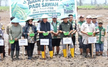 Henri Muhidin Dorong Optimalisasi Cetak Sawah Rakyat di Lindu