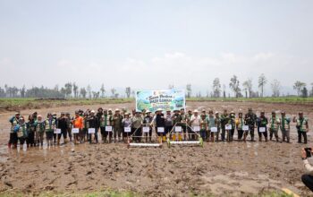 Tanam Perdana Cetak Sawah Rakyat di Lindu, Pemkab Sigi Perkuat Program Swasembada Pangan
