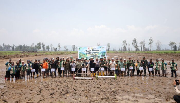 Tanam Perdana Cetak Sawah Rakyat di Lindu, Pemkab Sigi Perkuat Program Swasembada Pangan