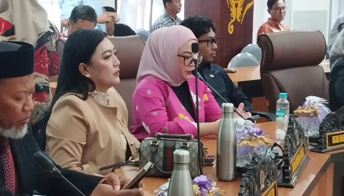 Ratna Mayasari Agan, Dorong Pelatihan dan Sertifikasi Pelaku Ekonomi Kreatif