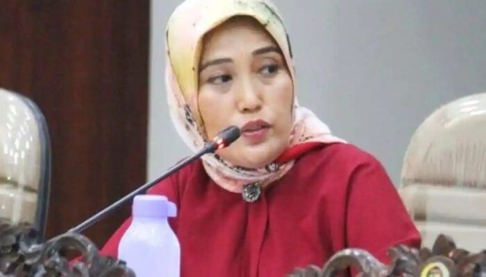 Mutmainnah Corona Dorong Raperda UMKM Beri Ruang dan Perlindungan bagi Usaha Kecil