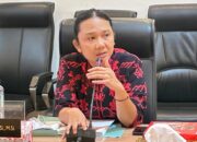 Alfiani Eliata Sallata Minta Ahli Geologi Dilibatkan dalam Penyusunan Ranperda Pertambangan Batuan