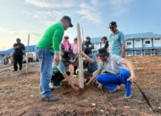 Menyambut Tanwir Muhammadiyah 2026, PWM Sulteng Tanam 114 Pohon Kelor di Unismuh Palu