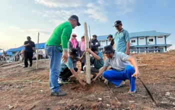Menyambut Tanwir Muhammadiyah 2026, PWM Sulteng Tanam 114 Pohon Kelor di Unismuh Palu